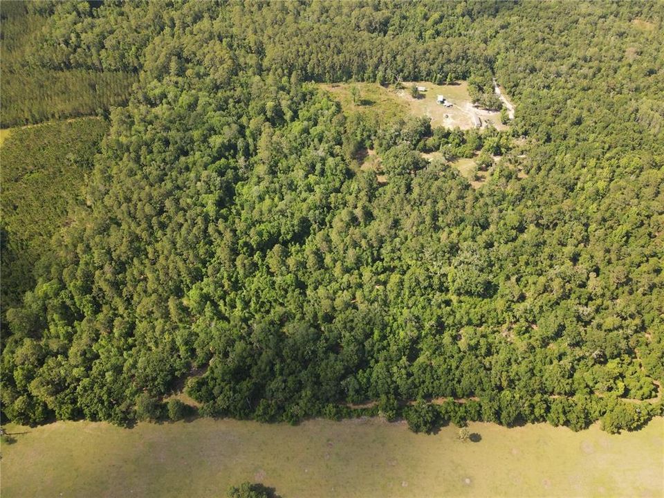 На продажу: $120,000 (10.00 acres)