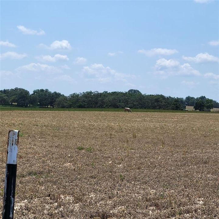 For Sale: $436,750 (16.67 acres)