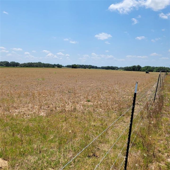 For Sale: $436,750 (16.67 acres)