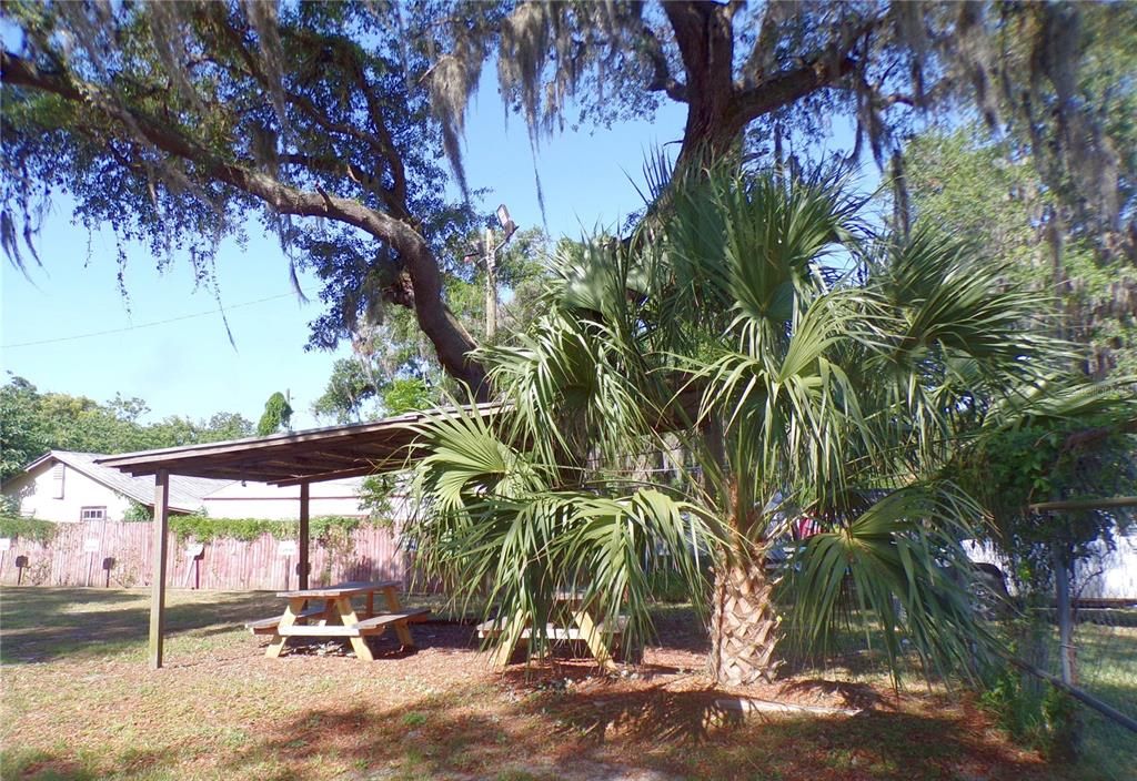 Lovely picnic area under huge oak tree