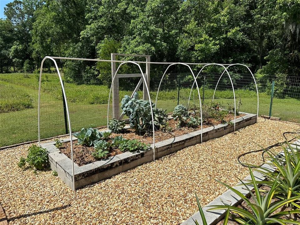 IF NEEDED YOU CAN ADD A SHADE TO THE GARDEN VEGES