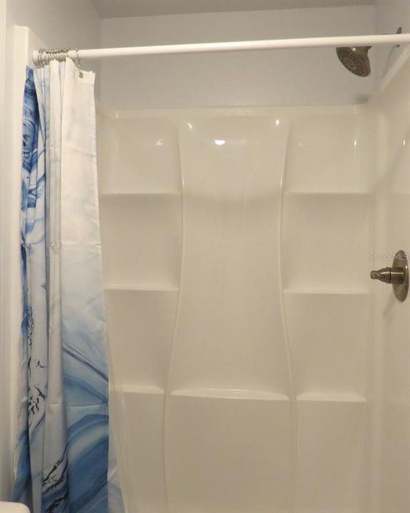 Efficiency/Mother in law suite step in shower