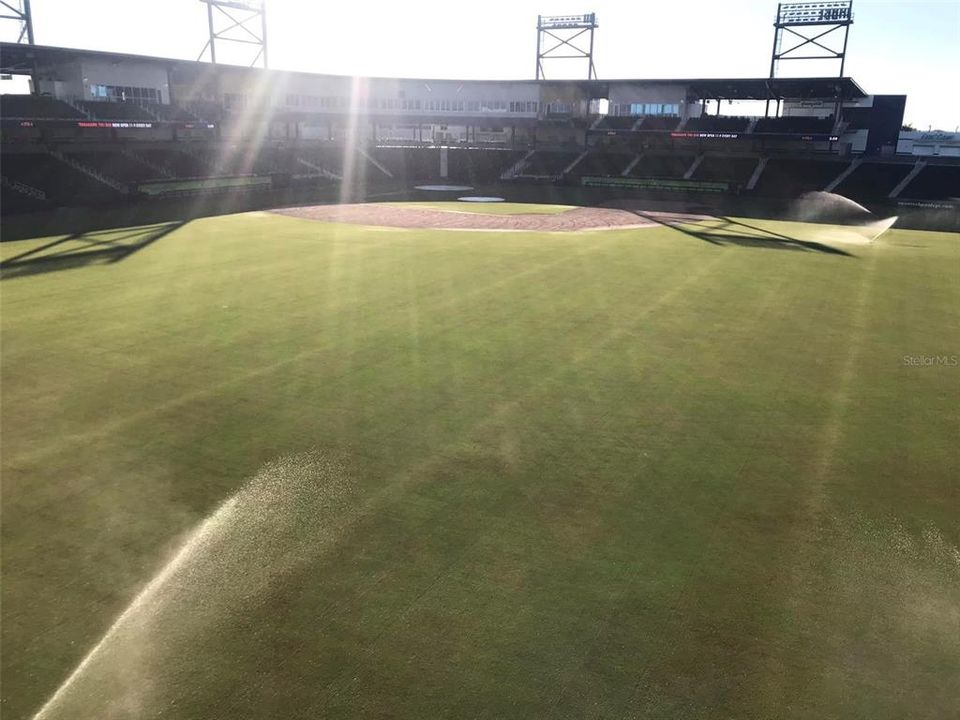 Braves Stadium