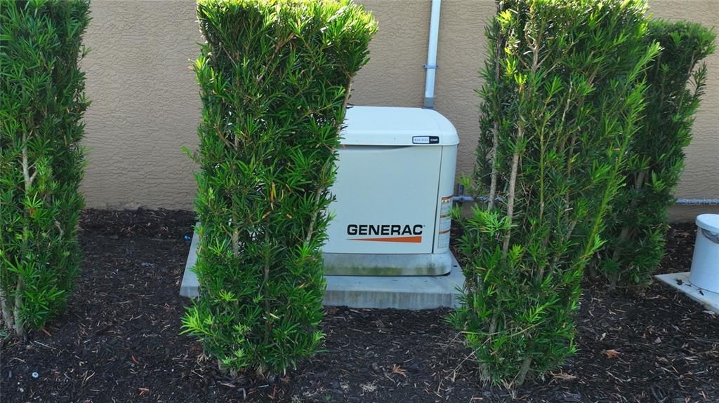 Generac whole house gas generator fully automatic in a power failure.
