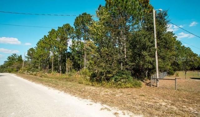 For Sale: $28,999 (1.14 acres)