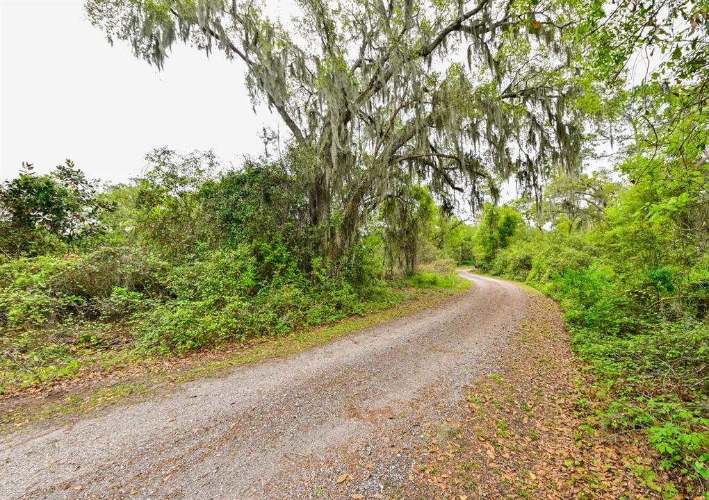 Active With Contract: $126,000 (1.10 acres)