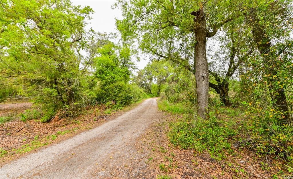 Active With Contract: $126,000 (1.10 acres)