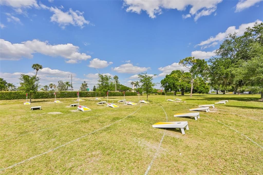 Cornhole field