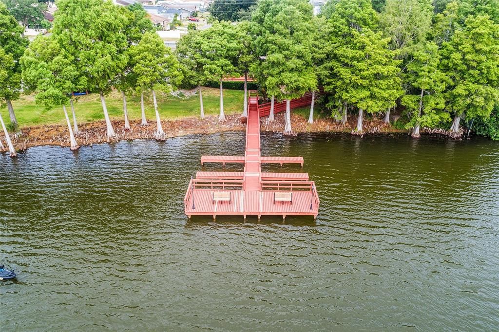 AERIAL VIEW OF DOCK & CYPRESS TREES!