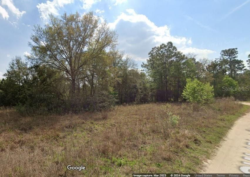 For Sale: $28,000 (0.28 acres)