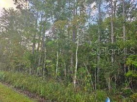 На продажу: $30,000 (1.14 acres)