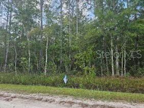 На продажу: $30,000 (1.14 acres)