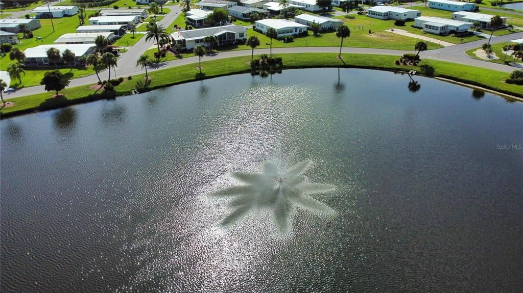 For Sale: $8,000 (0.16 acres)