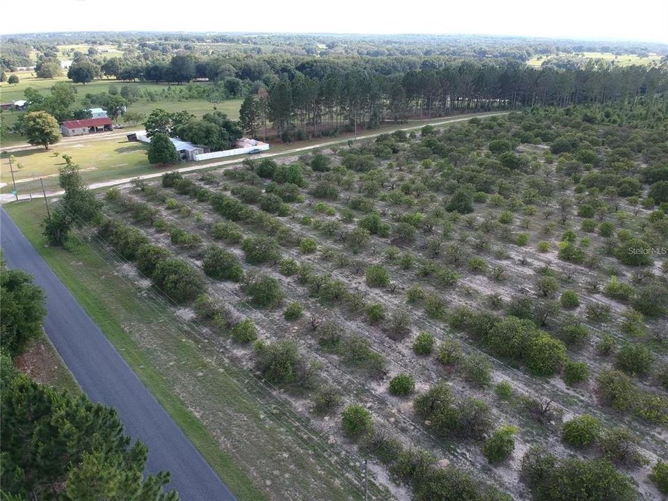 For Sale: $419,000 (10.00 acres)