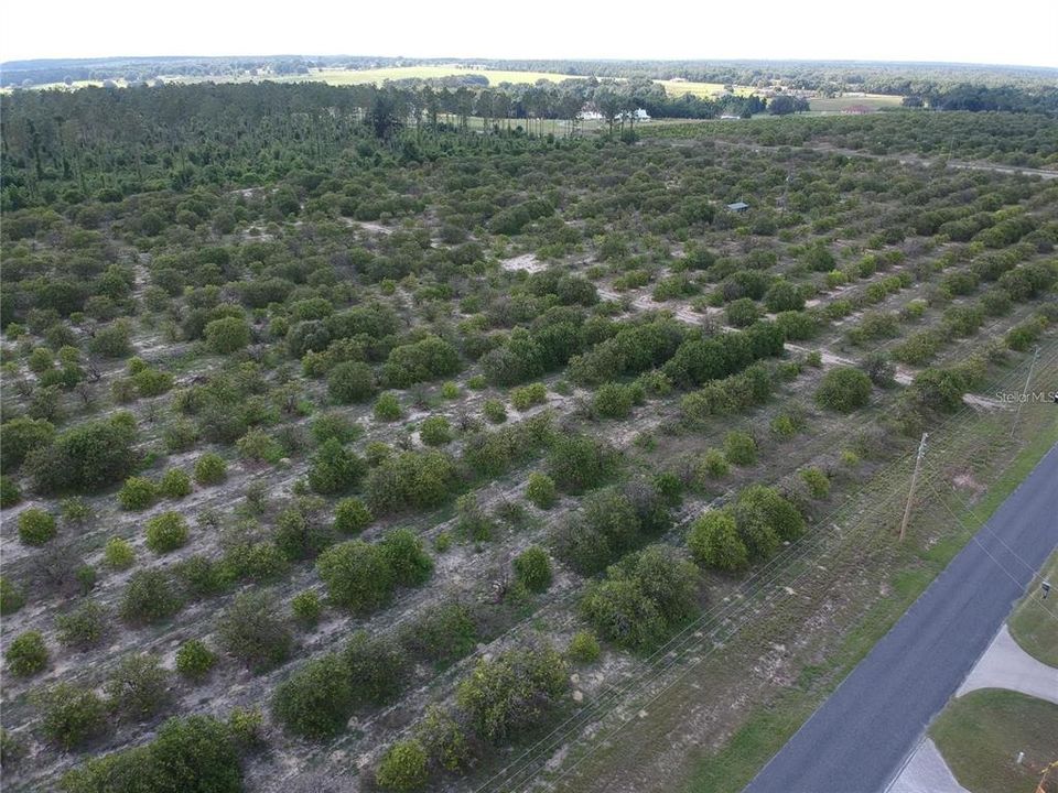 For Sale: $419,000 (10.00 acres)