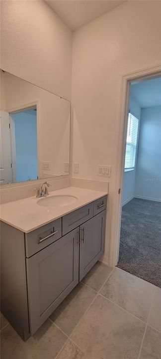 in-law suite bathroom