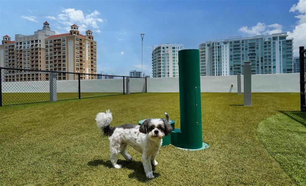 The dog park atop garage offers convenience for walks and canine socializing
