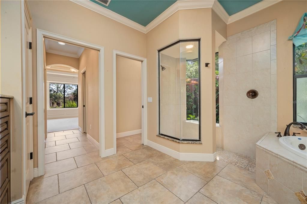 Owner's suite bathroom