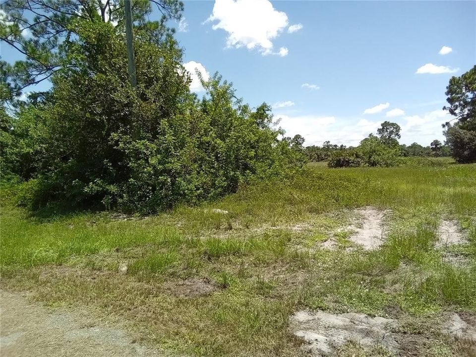 For Sale: $28,450 (0.26 acres)