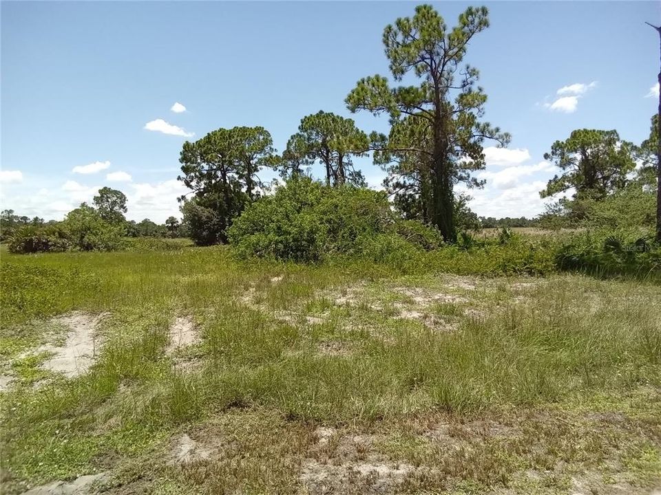 For Sale: $28,450 (0.26 acres)