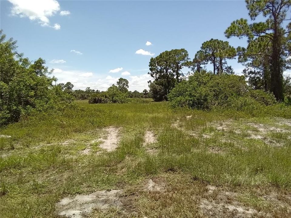 For Sale: $28,450 (0.26 acres)