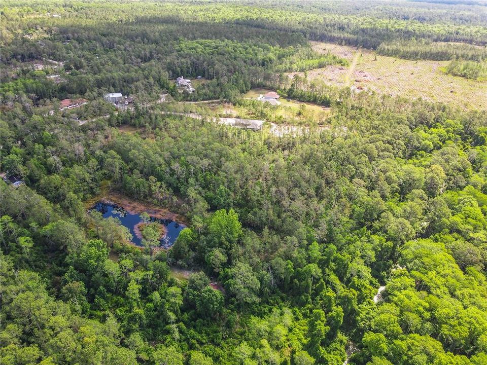 For Sale: $199,900 (5.62 acres)