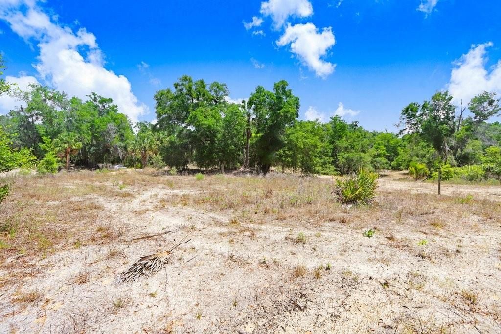 For Sale: $159,000 (1.21 acres)