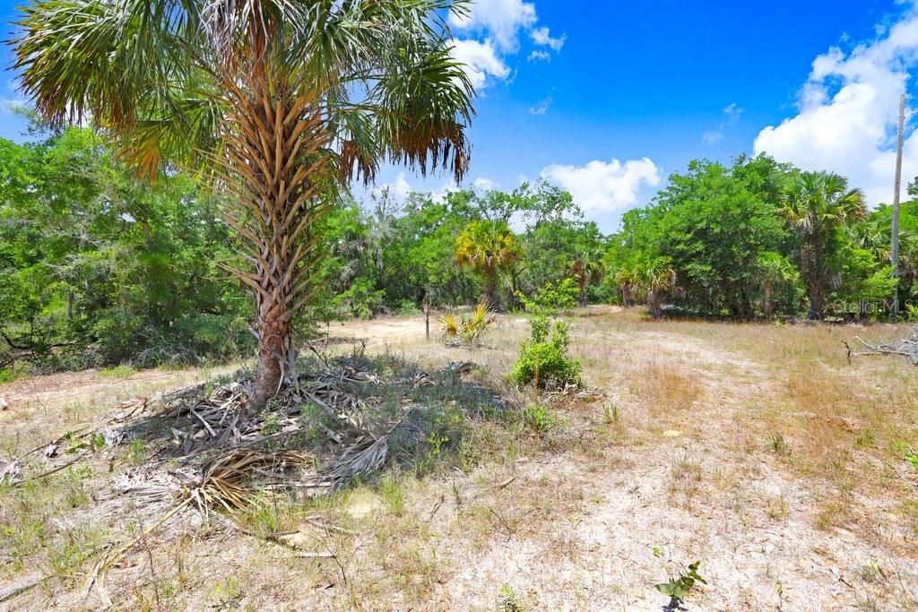 For Sale: $159,000 (1.21 acres)