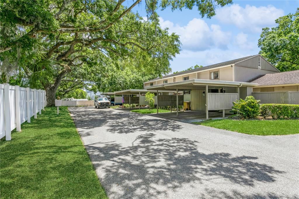 View of Lane to access Carport