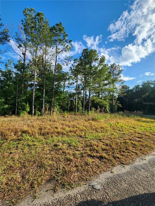 На продажу: $25,000 (0.37 acres)