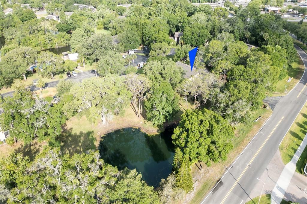 Pond behind Condo