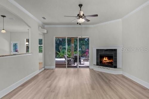 Living room with electric fire place