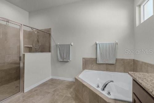 Soaking tub and separate shower in Master bath