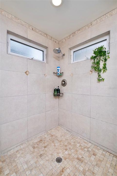 Bathroom Walk-in Shower