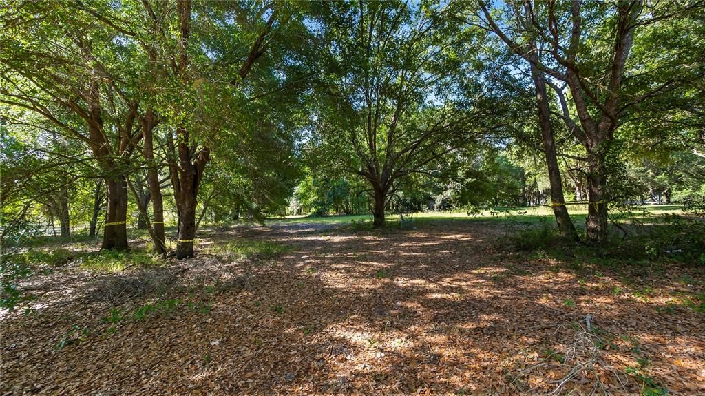 Vendido Recientemente: $349,900 (5.02 acres)