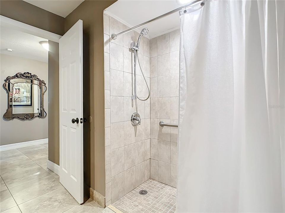 Hall Bathroom with Walk-in Handicap Accessible Shower