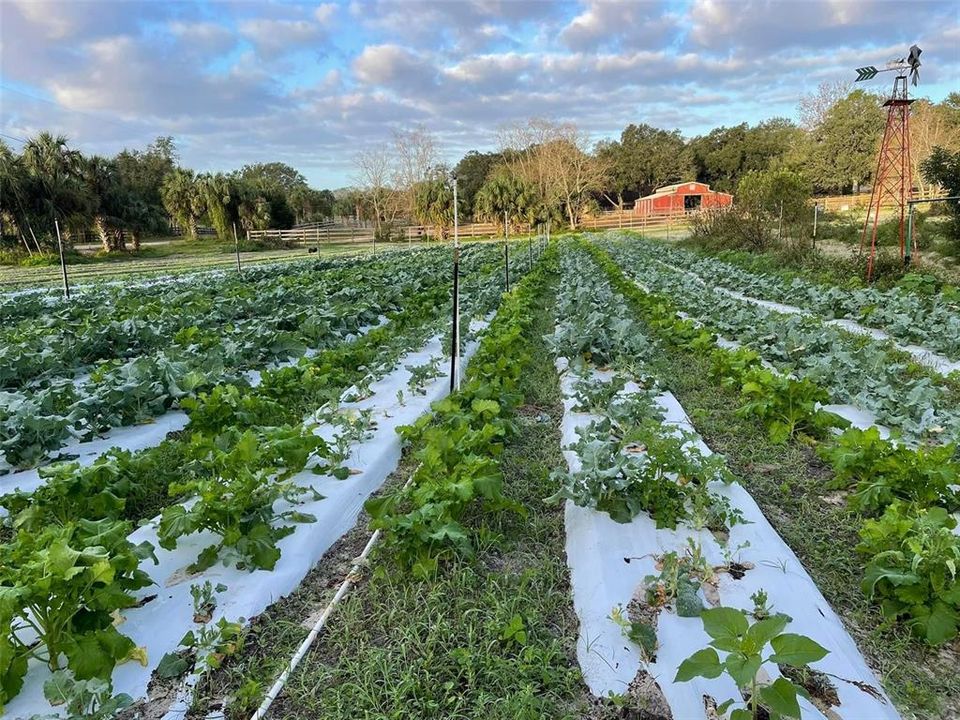 Photos from when the property was R Family Farm