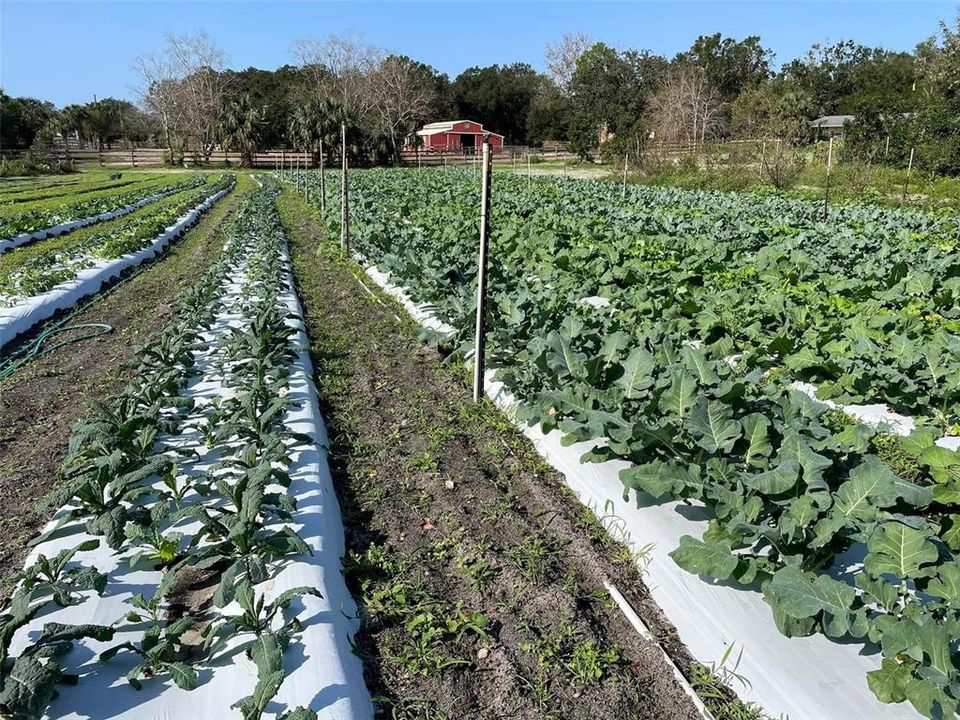 Photos from when the property was R Family Farm