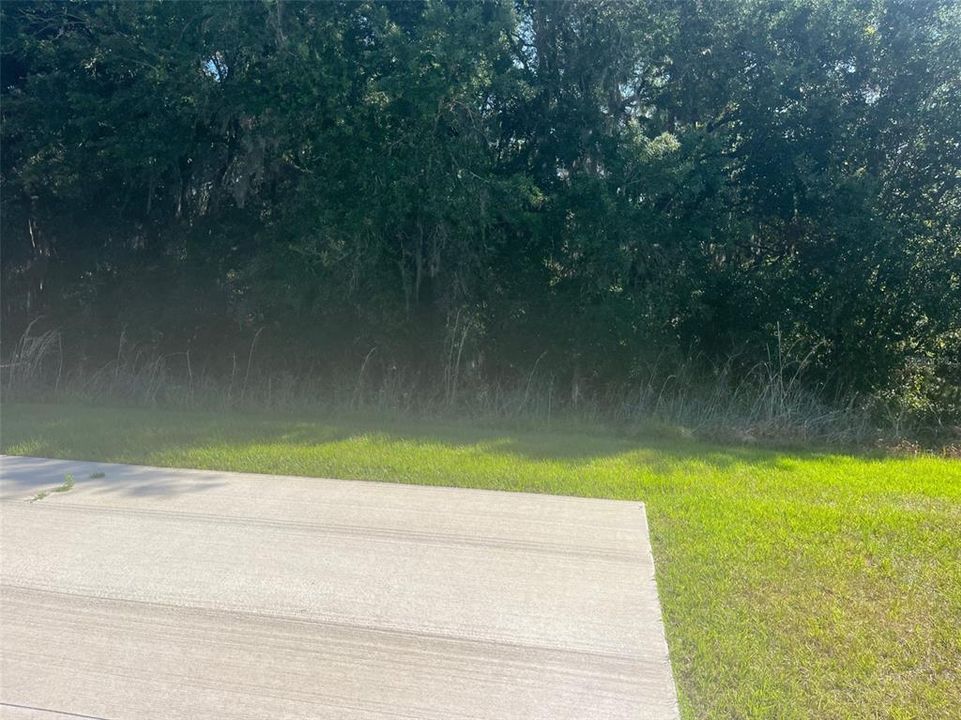 Back of the lot provides shade