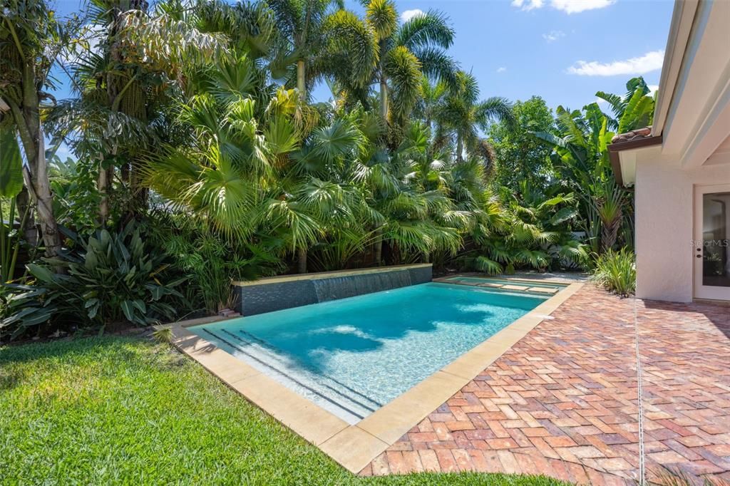 Inviting pool   includes shallow steps for gathering, brick deck and lush palms