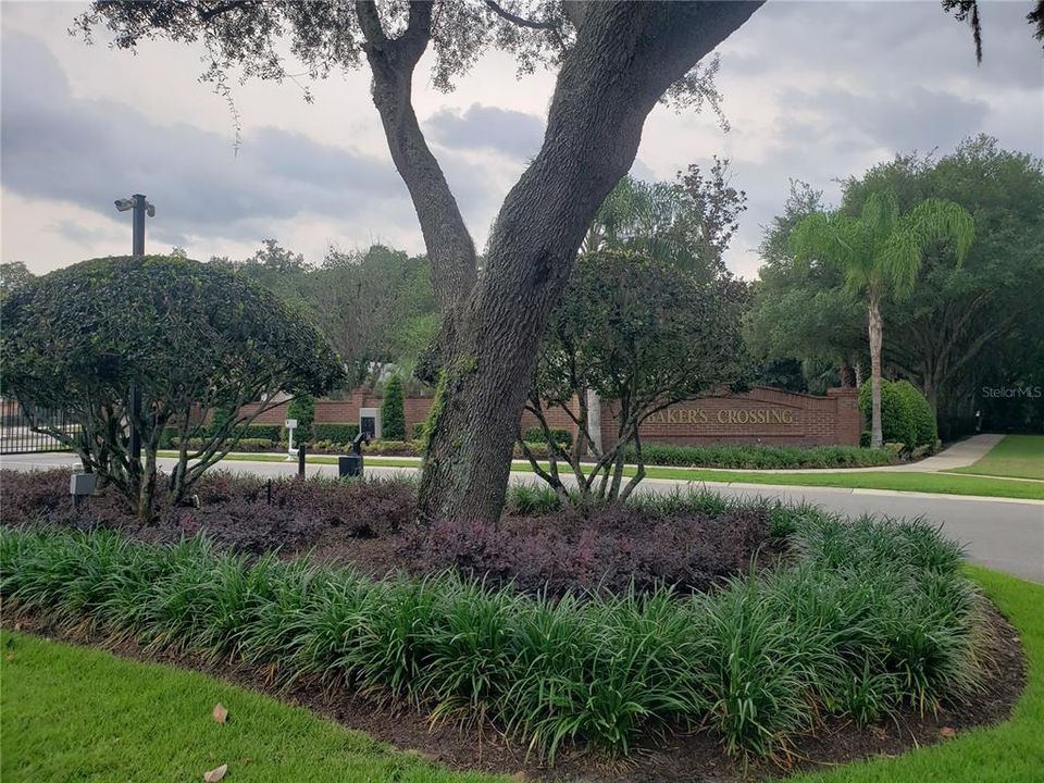 Mature Landscaped Entry Way