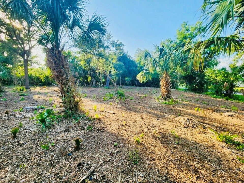 En Venta: $37,000 (0.38 acres)