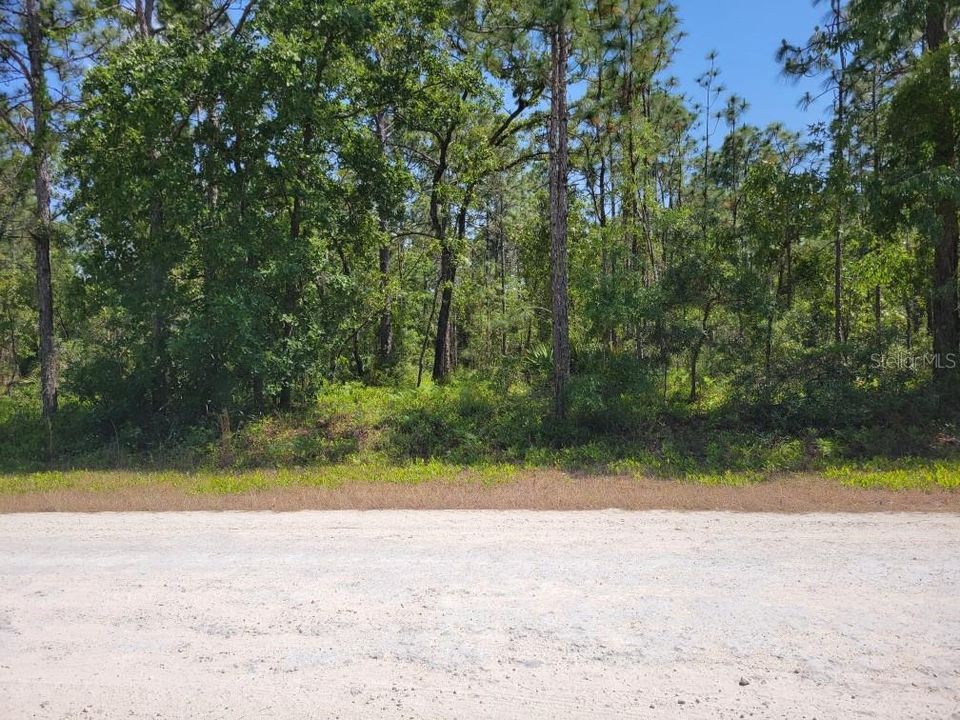 For Sale: $26,900 (0.46 acres)