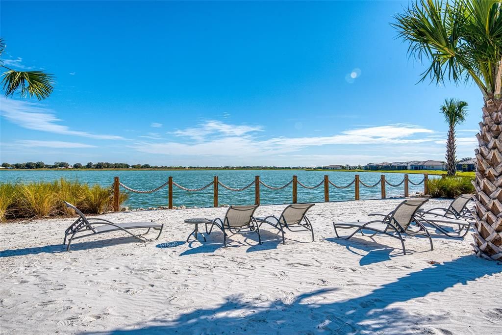 Beach area with hammocks and chaise lounges