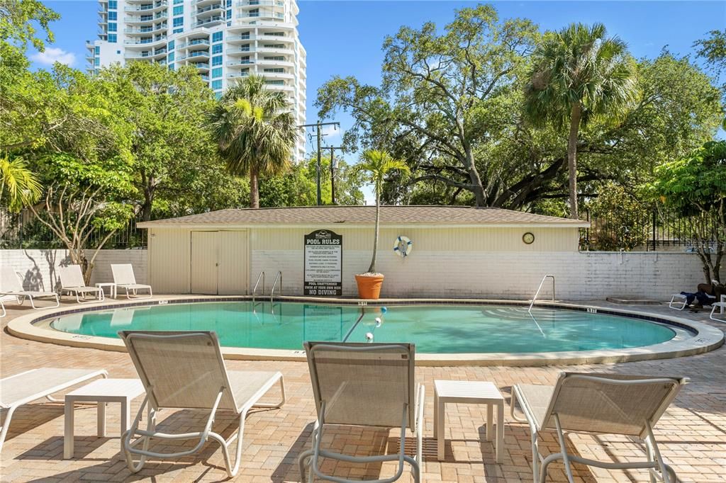 Beautiful common pool with great sunlight for sunlovers!