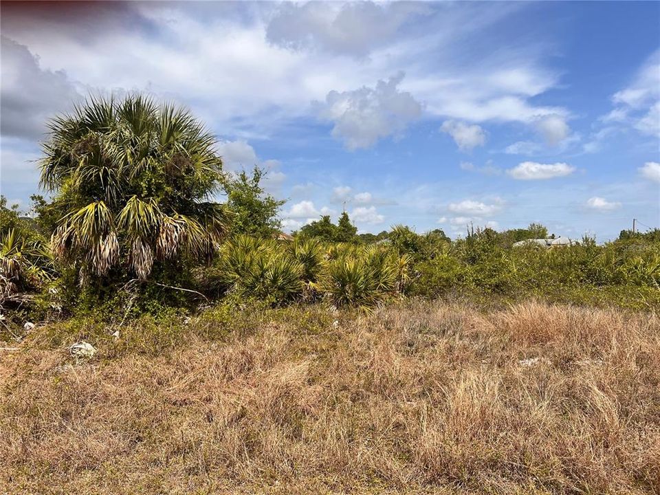 Active With Contract: $25,000 (0.28 acres)