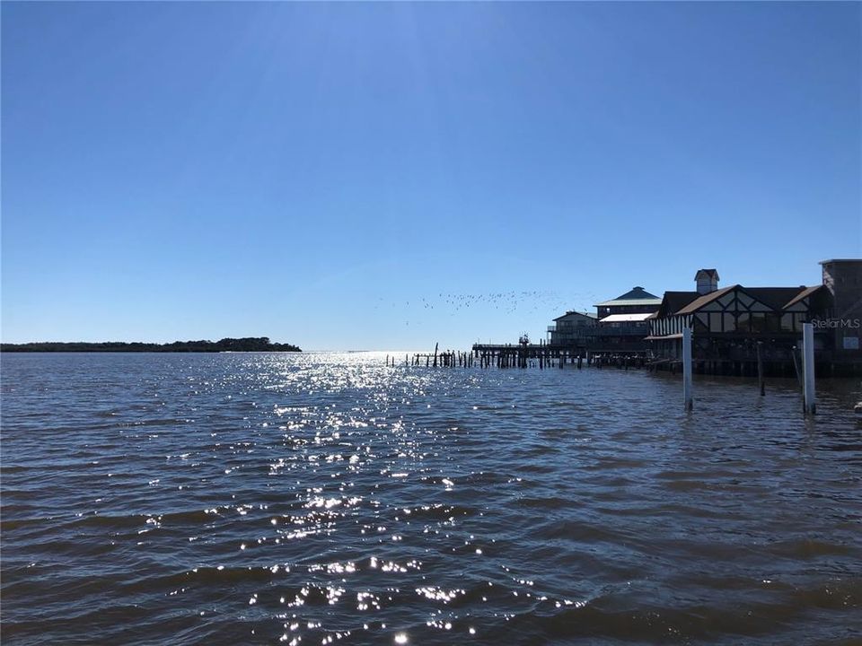 CEDAR KEY GULF OF MEXICO WATERFRONT DINING 1 HOUR FROM PROPERTY