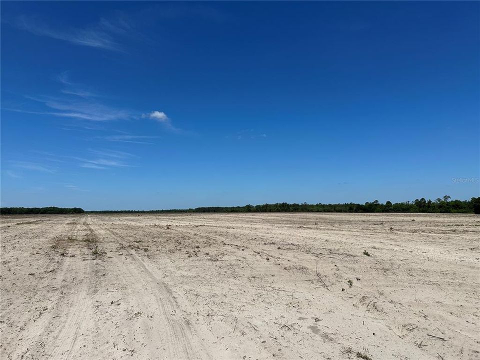 En Venta: $907,533 (101.97 acres)