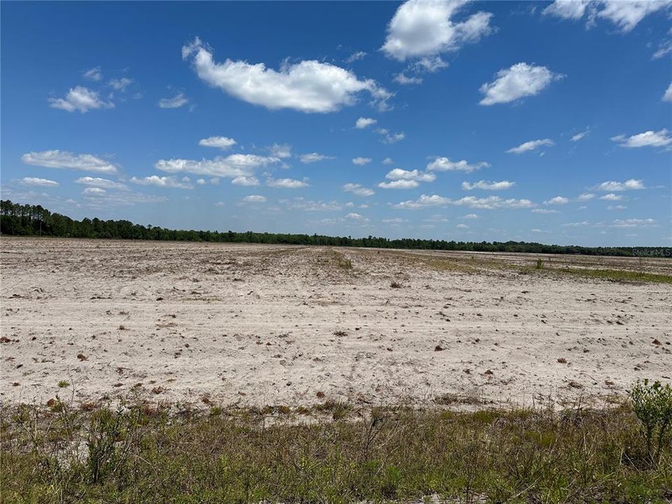 For Sale: $907,533 (101.97 acres)