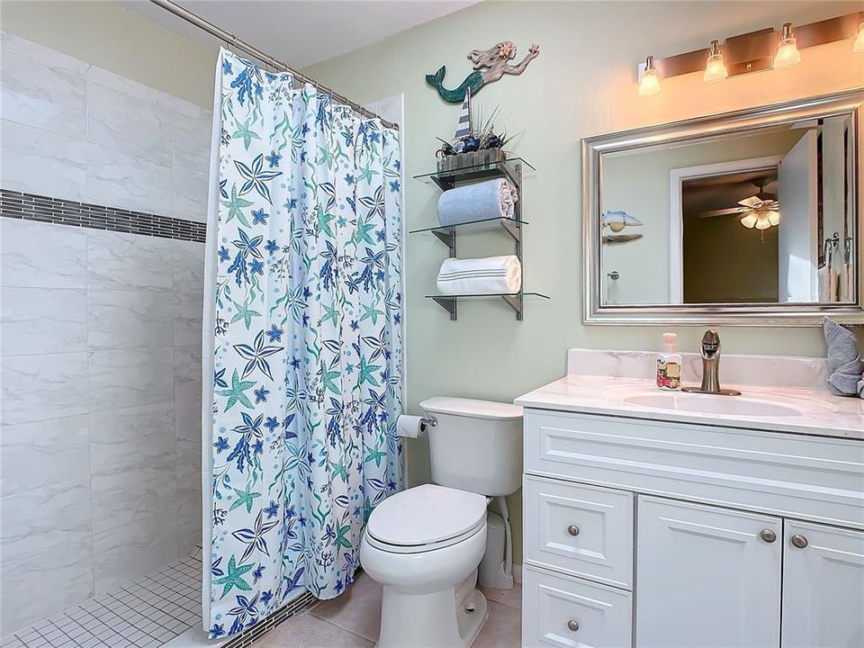 Renovated primary bathroom. Tile shower & Linen closet